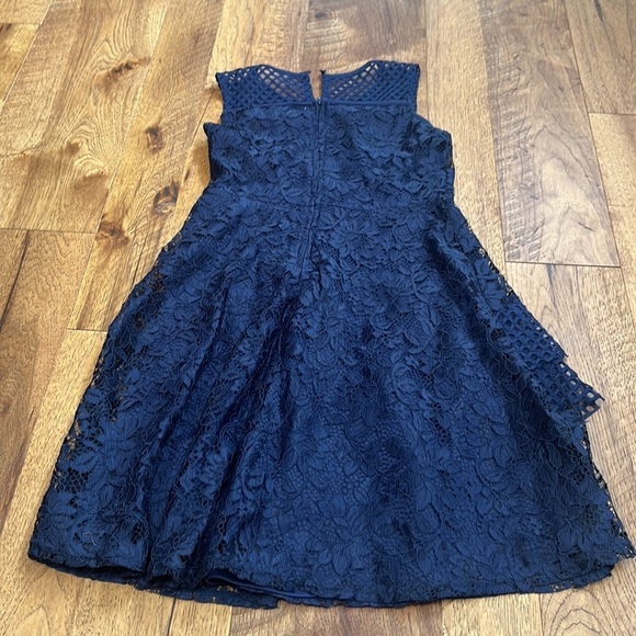 Blush Girl’s Lace Mesh Dress Size 14 - Picture 4 of 8